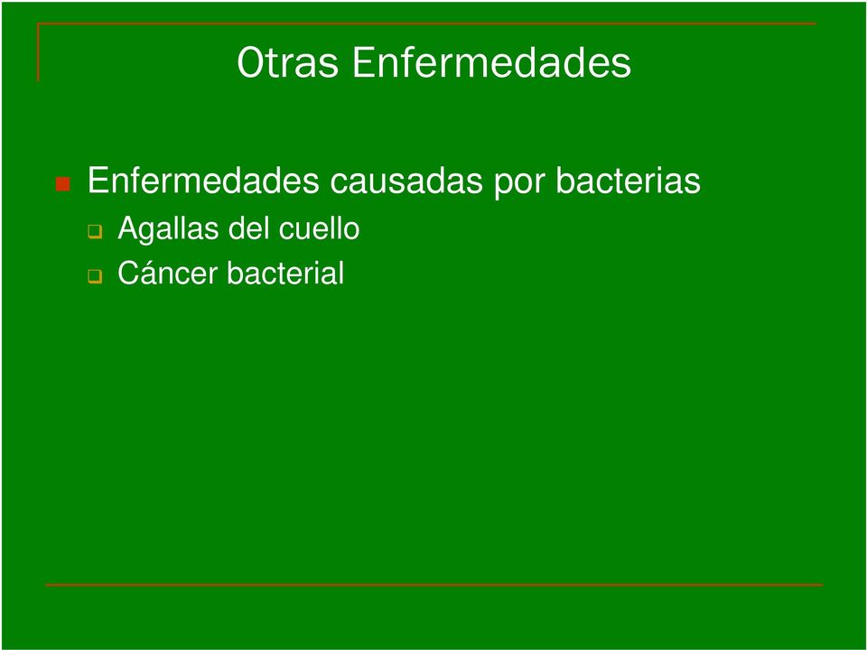 por bacterias Agallas