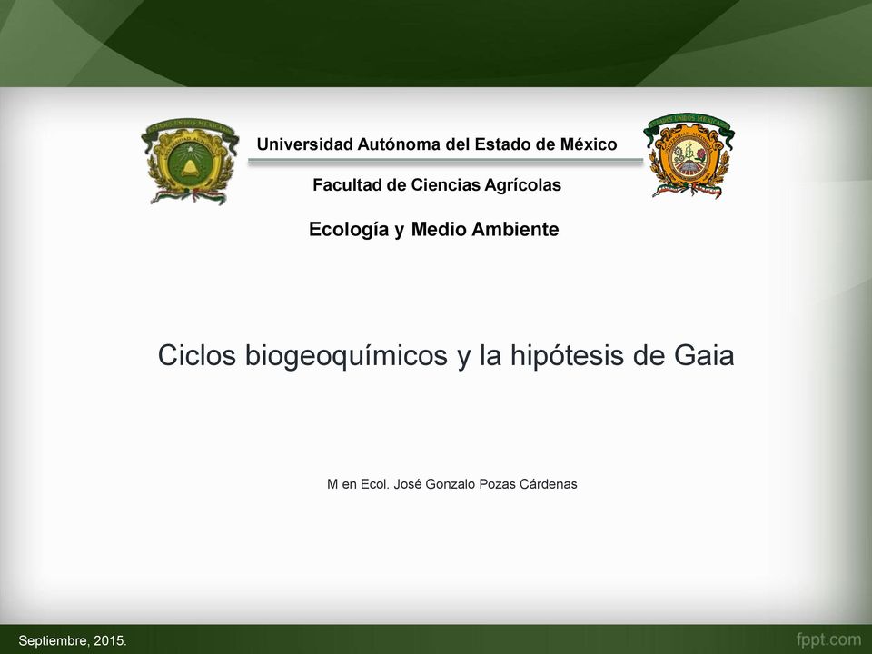 Ambiente Ciclos biogeoquímicos y la hipótesis de