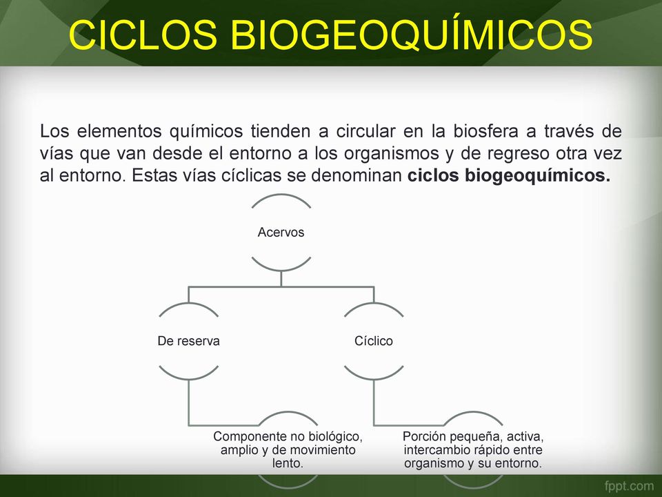 Estas vías cíclicas se denominan ciclos biogeoquímicos.