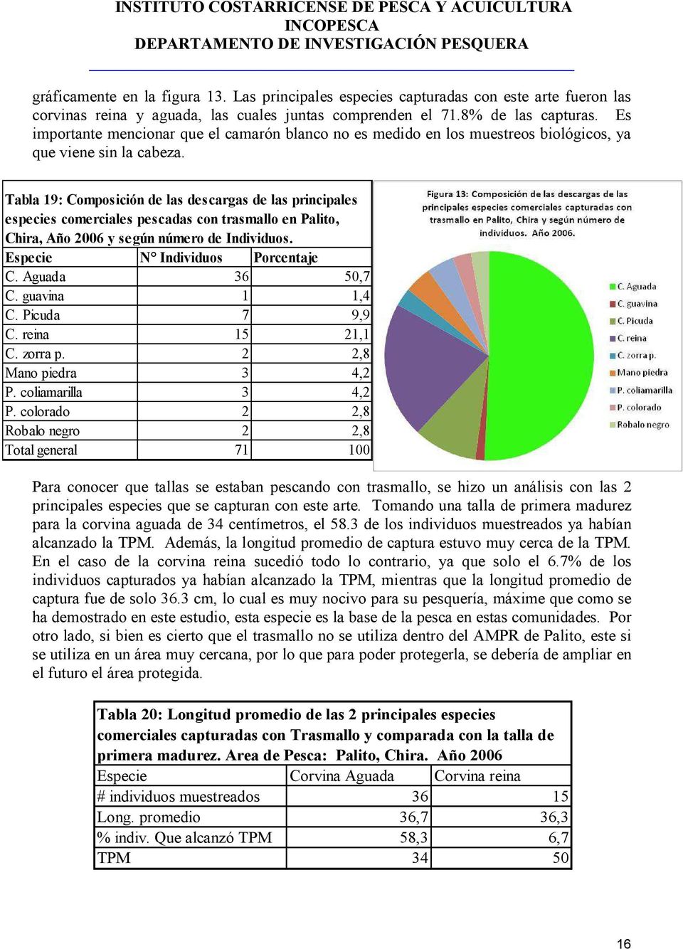 Tabla 19: Composición de las descargas de las principales especies comerciales pescadas con trasmallo en Palito, Chira, Año 2006 y según número de Individuos. Especie N Individuos Porcentaje C.