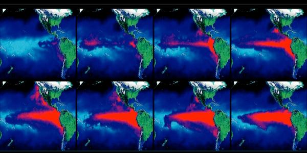 Una característica oceanográfica importante del norte y centro de Chile es la surgencia costera de aguas subsuperficiales hacia capas superficiales, asociada principalmente a la masa de agua