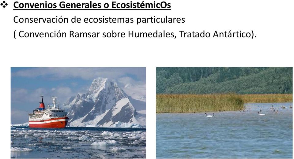 ecosistemas particulares (