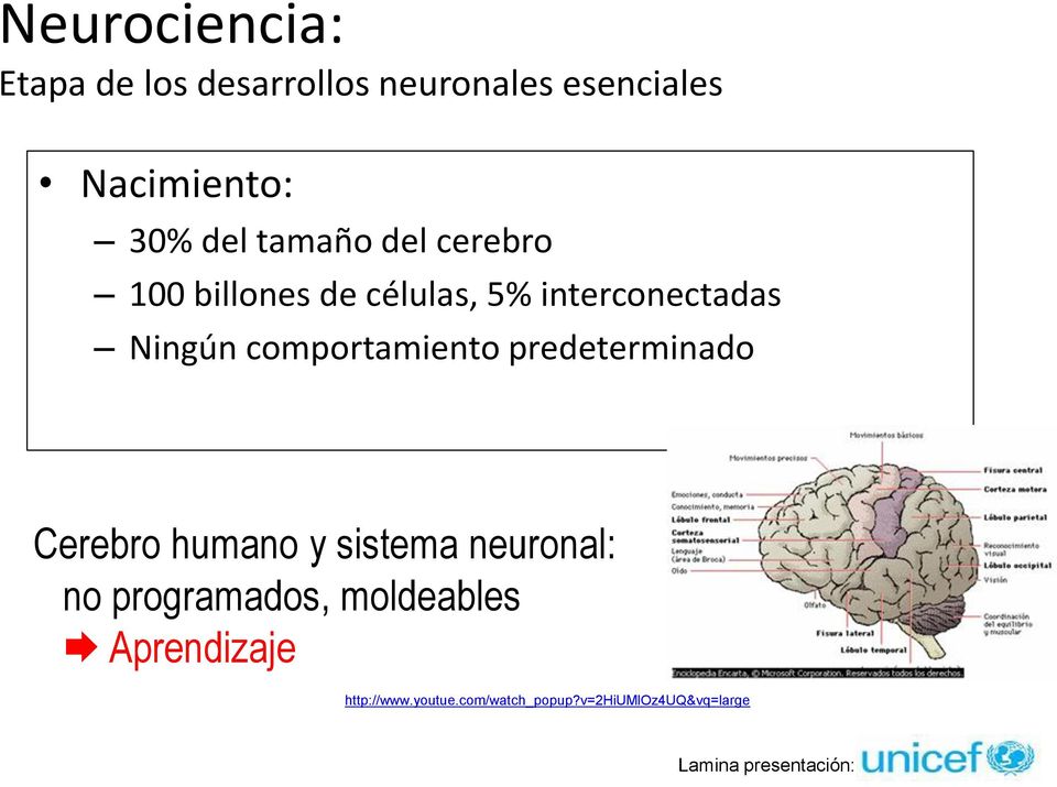 comportamiento predeterminado Cerebro humano y sistema neuronal: no programados,