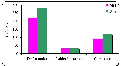 especies y son similares a los detectados en delfín listado del Mar Mediterráneo (Capelli et al., 2000; Cardellicchio et al., 2002).