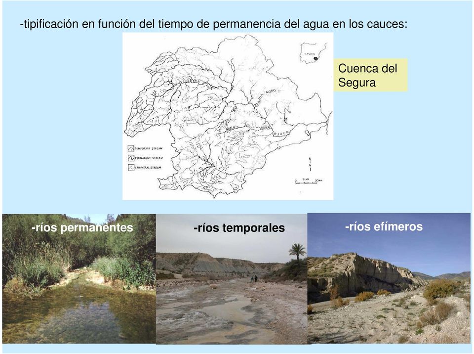cauces: Cuenca del Segura -ríos
