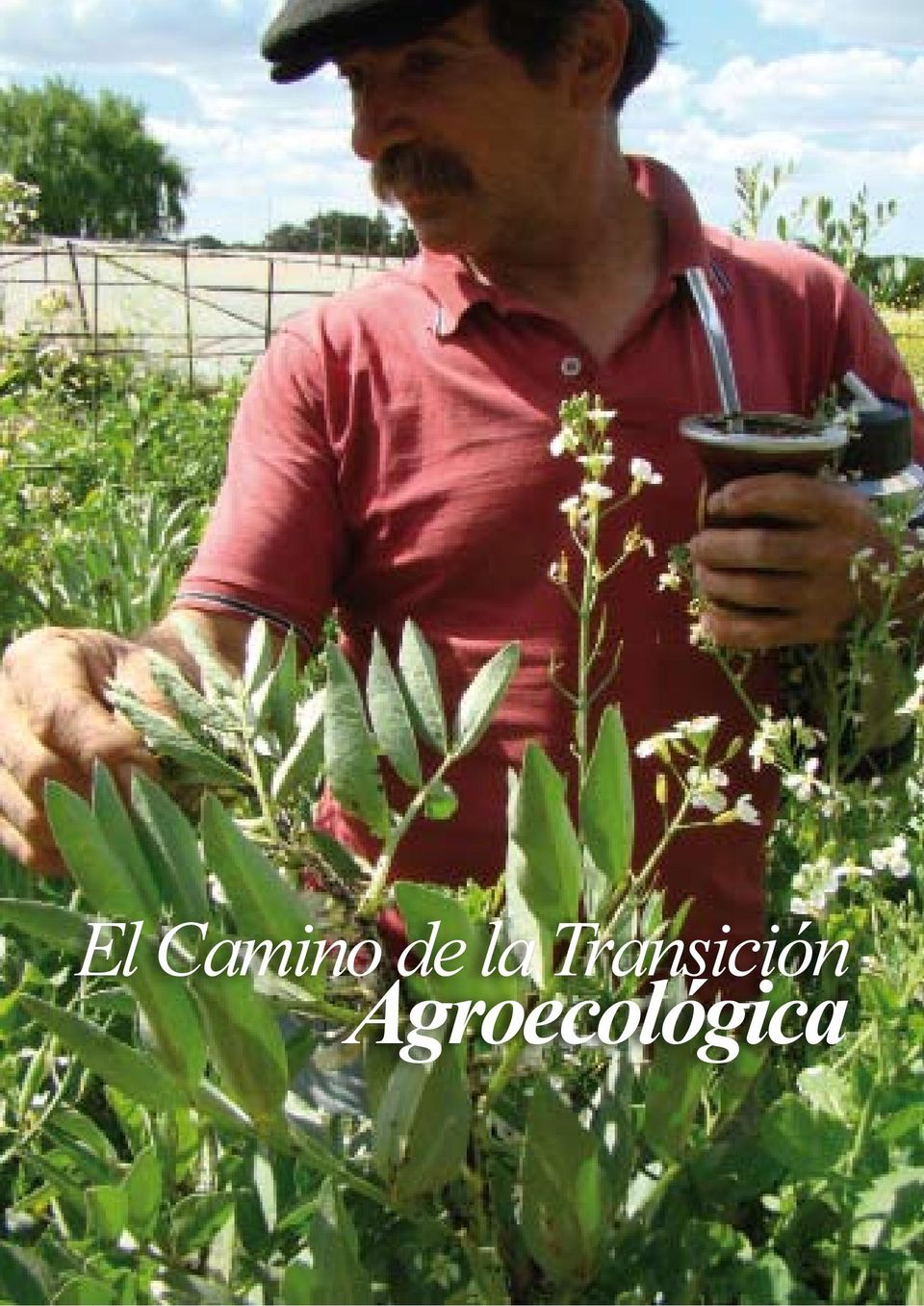 Agroecológica  