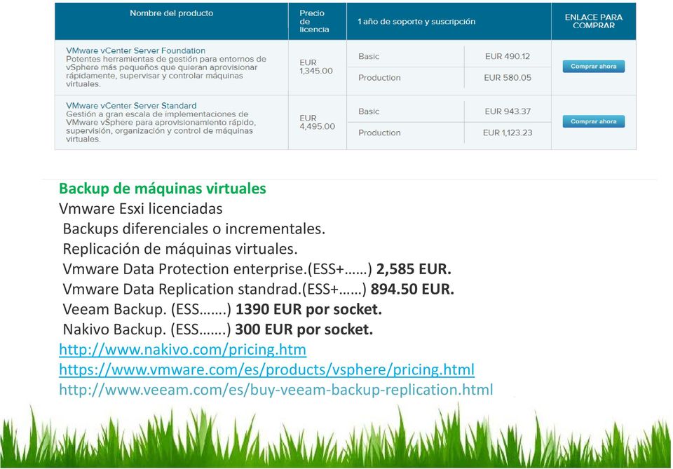 Vmware Data Replication standrad.(ess+ ) 894.50 EUR. Veeam Backup. (ESS.) 1390 EUR por socket. Nakivo Backup. (ESS.) 300 EUR por socket.