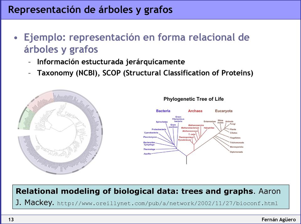 (Structural Classification of Proteins) Relational modeling of biological data: trees