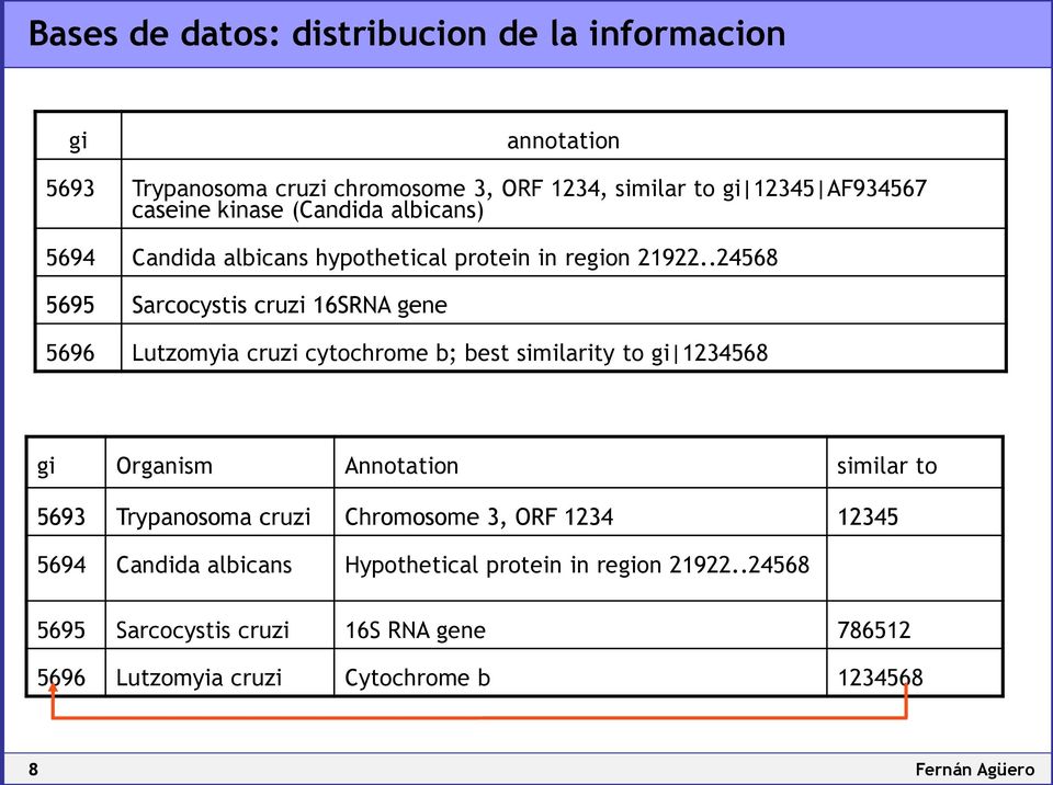 .24568 5695 Sarcocystis cruzi 16SRNA gene 5696 Lutzomyia cruzi cytochrome b; best similarity to gi 1234568 gi Organism Annotation similar to 5693