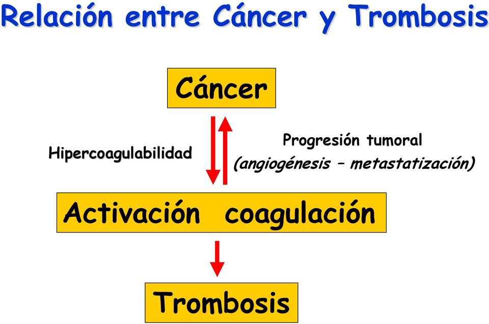 Progresión tumoral (angiogénesis