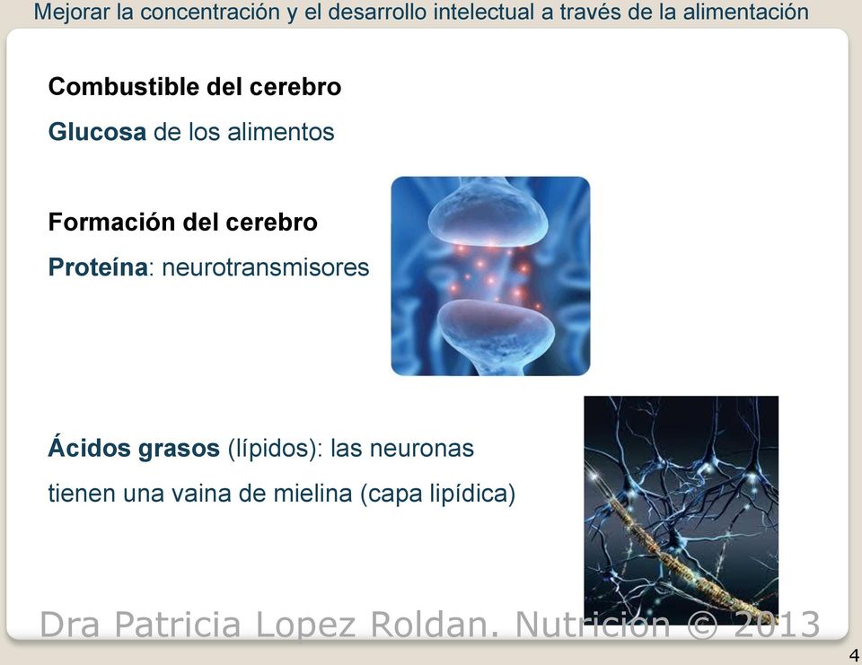 Formación del cerebro Proteína: neurotransmisores Ácidos grasos