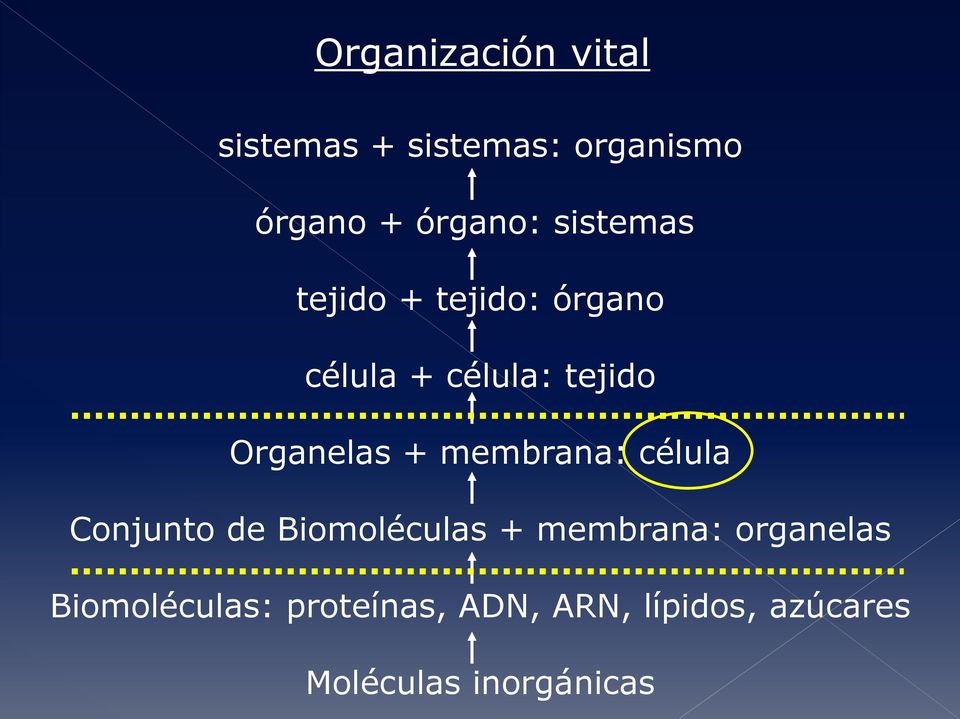 membrana: célula Conjunto de Biomoléculas + membrana: organelas
