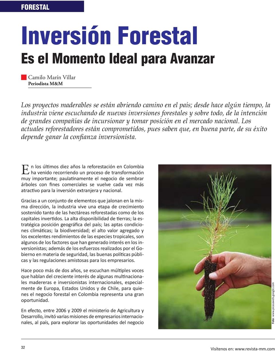 Los actuales reforestadores están comprometidos, pues saben que, en buena parte, de su éxito depende ganar la confianza inversionista.