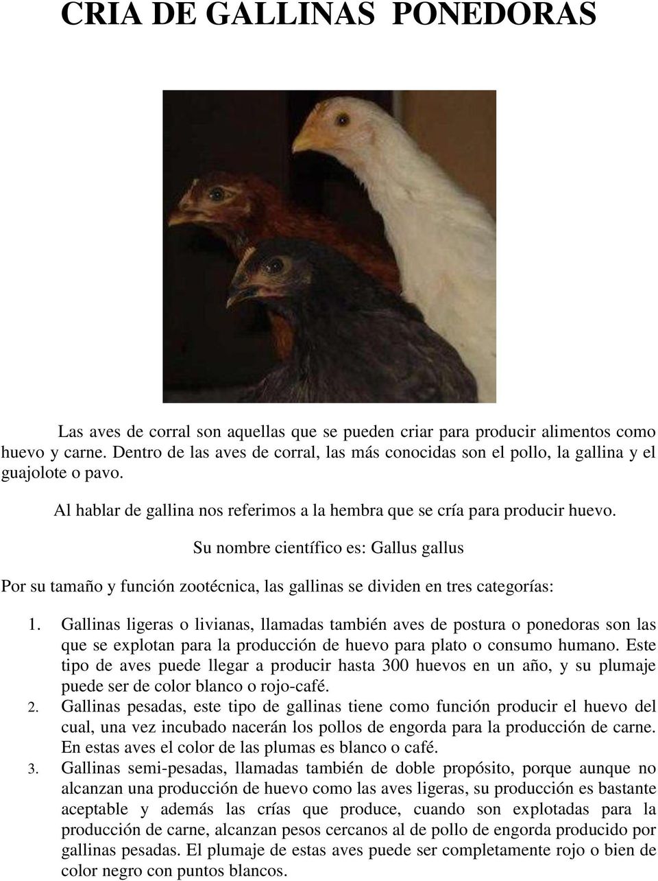 Su nombre científico es: Gallus gallus Por su tamaño y función zootécnica, las gallinas se dividen en tres categorías: 1.