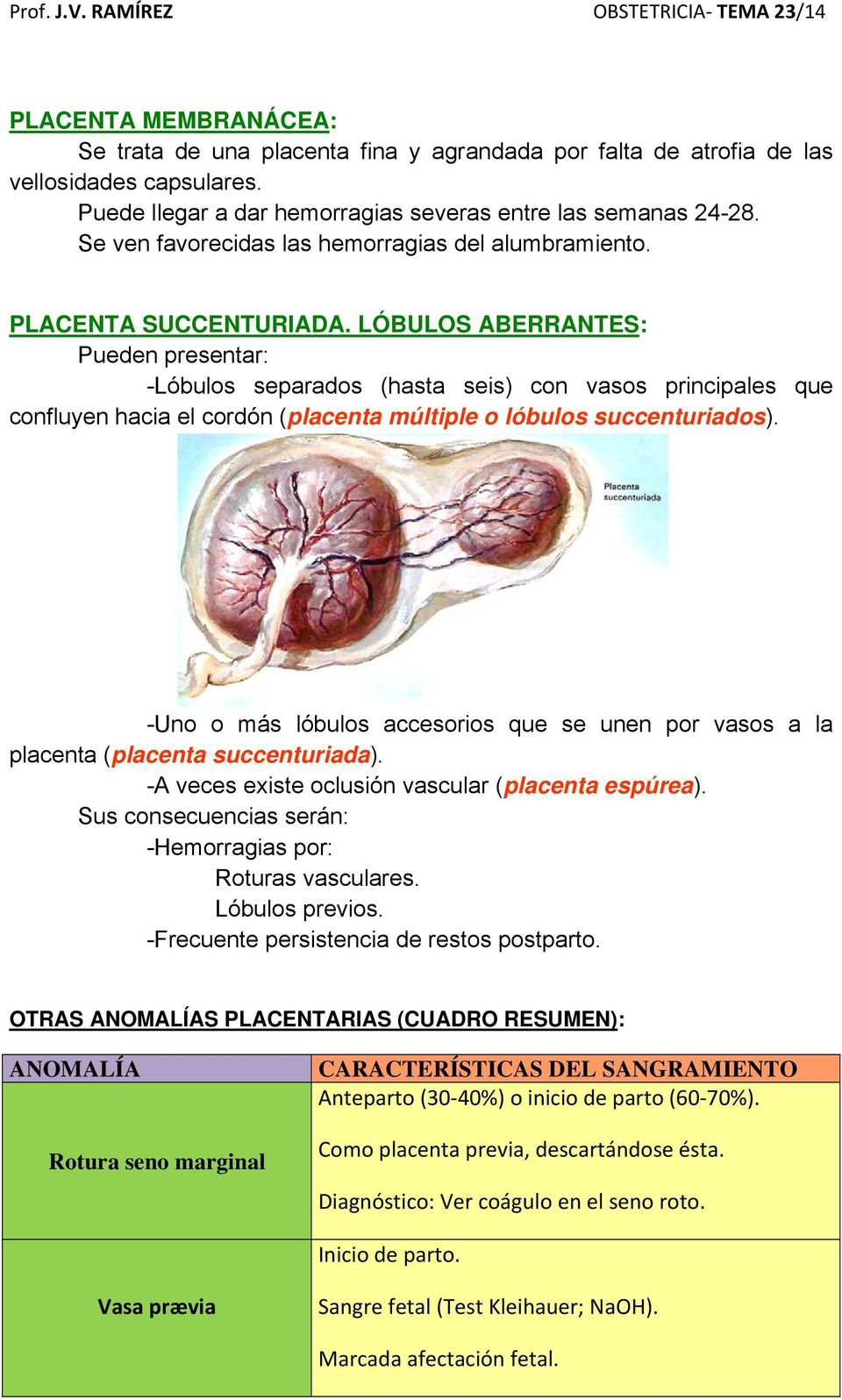 LÓBULOS ABERRANTES: Pueden presentar: -Lóbulos separados (hasta seis) con vasos principales que confluyen hacia el cordón (placenta múltiple o lóbulos succenturiados).