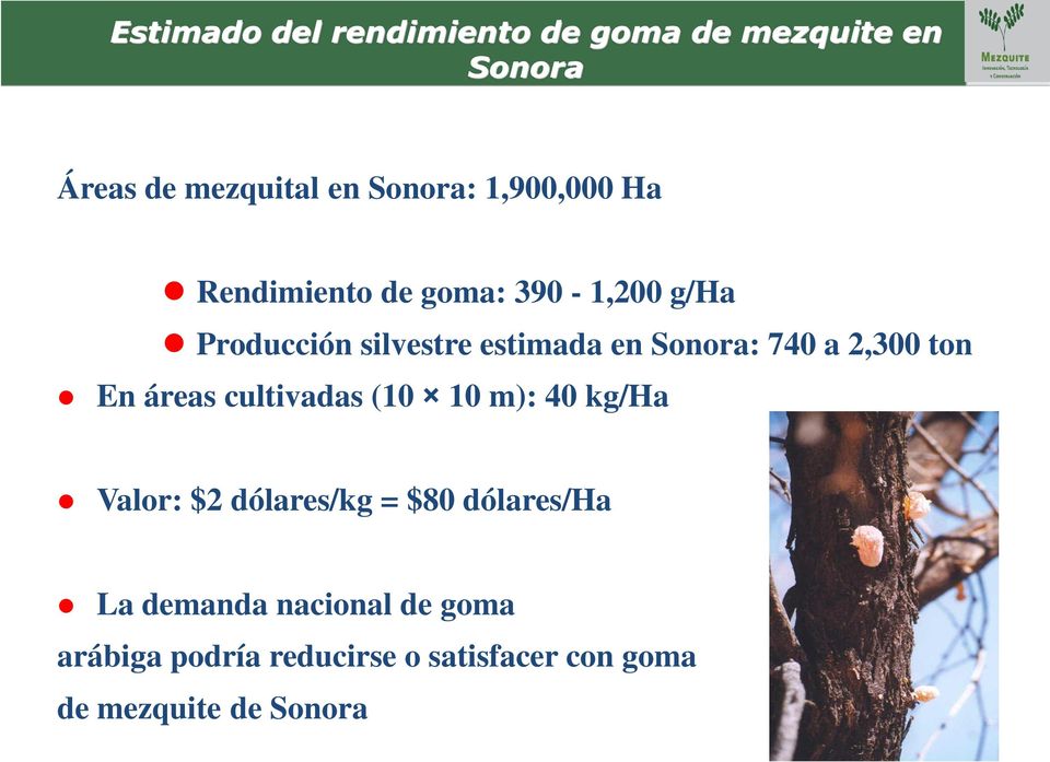 740 a 2,300 ton En áreas cultivadas (10 10 m): 40 kg/ha Valor: $2 dólares/kg = $80