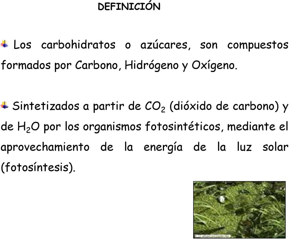 Sintetizados a partir de CO 2 (dióxido de carbono) y de H 2 O por