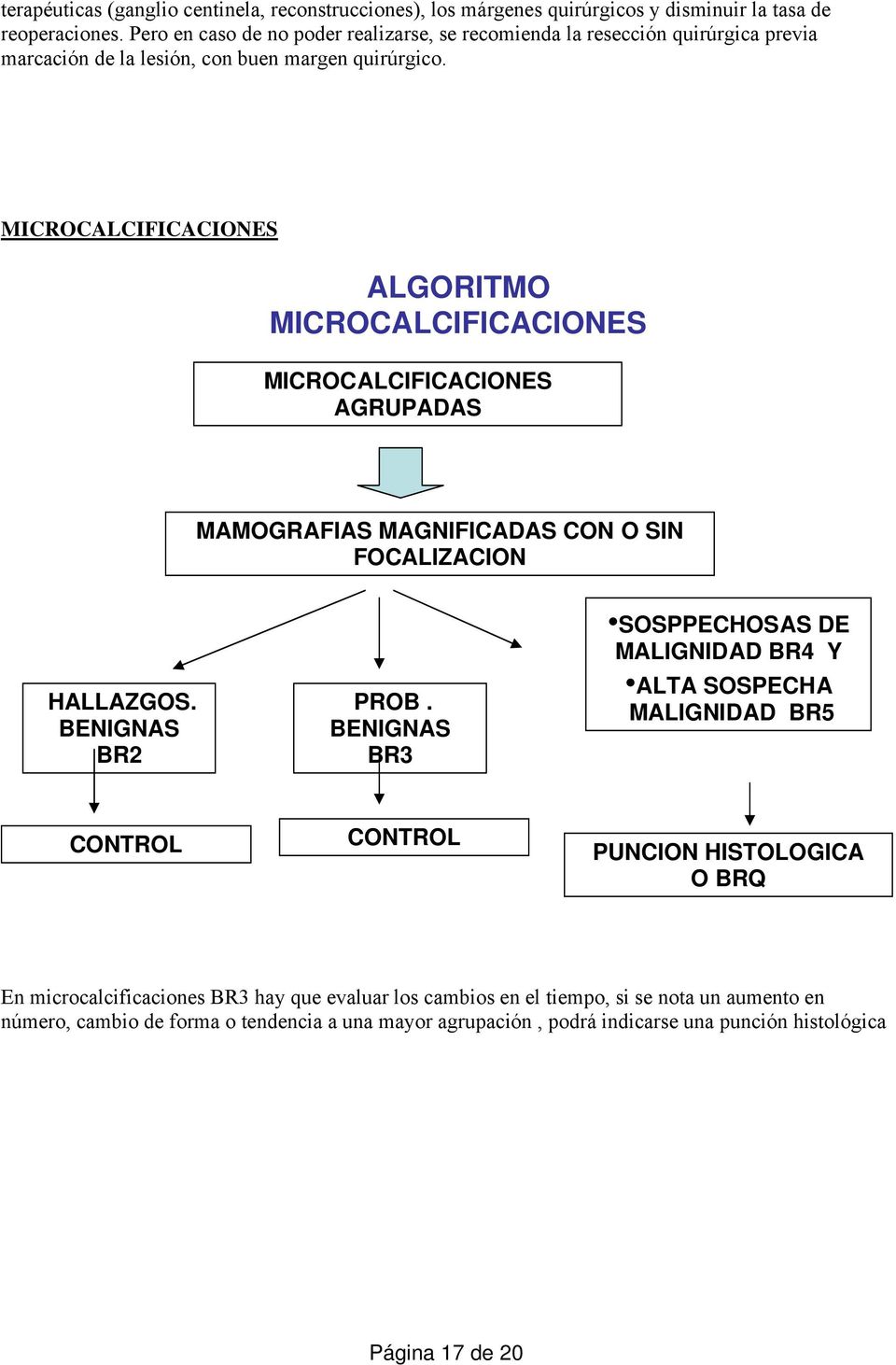 MICROCALCIFICACIONES ALGORITMO MICROCALCIFICACIONES MICROCALCIFICACIONES AGRUPADAS MAMOGRAFIAS MAGNIFICADAS CON O SIN FOCALIZACION HALLAZGOS. BENIGNAS BR2 PROB.