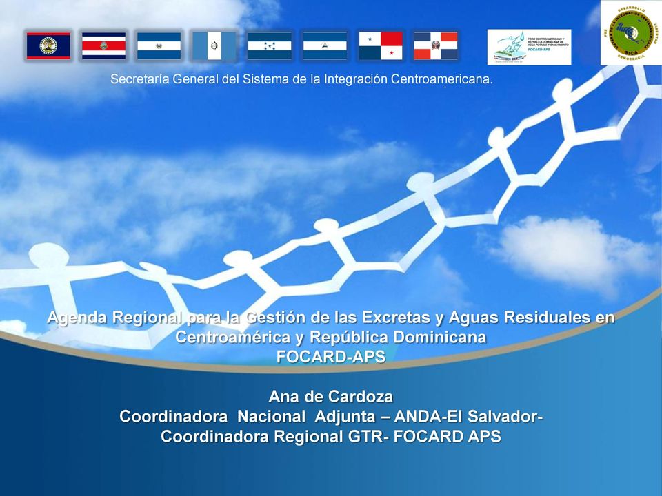 Centroamérica y República Dominicana FOCARD-APS Ana de Cardoza