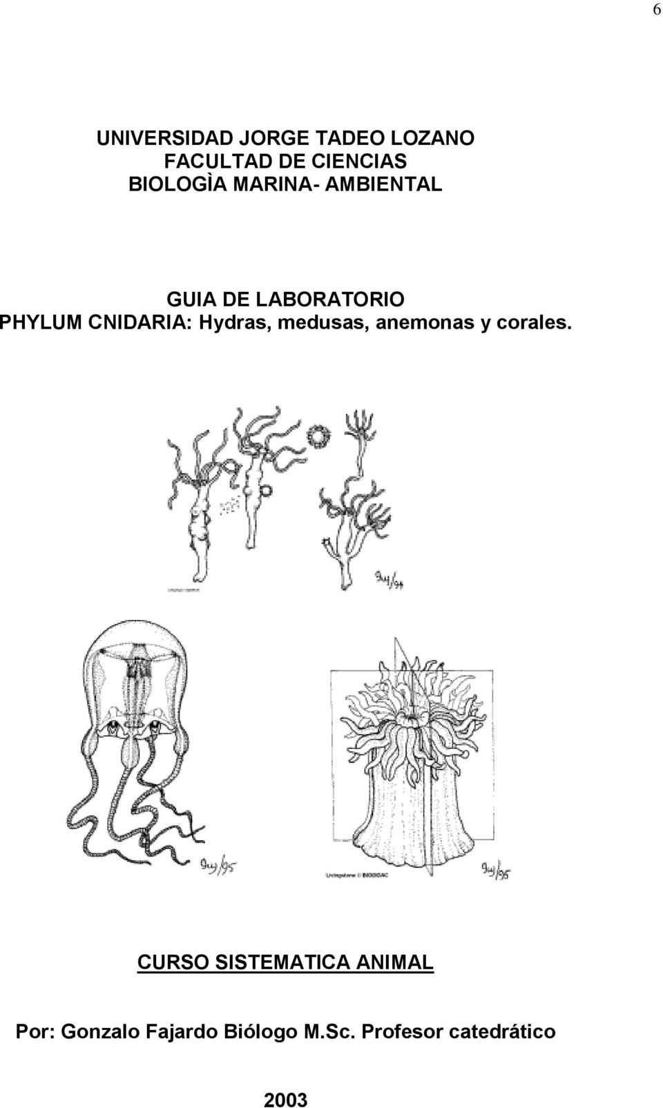 CNIDARIA: Hydras, medusas, anemonas y corales.