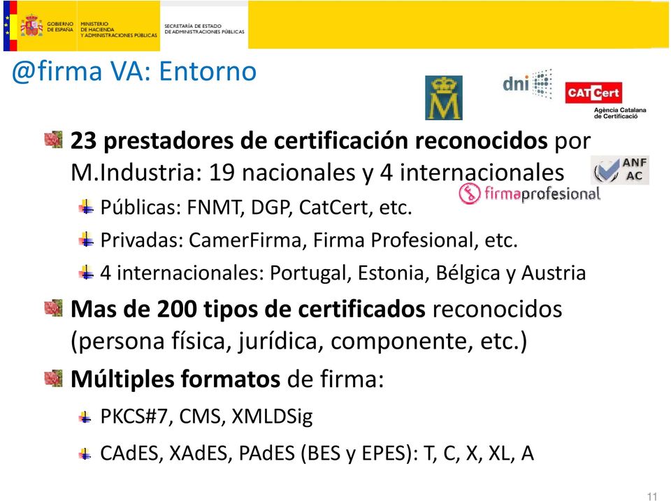 Privadas: CamerFirma, Firma Profesional, etc.