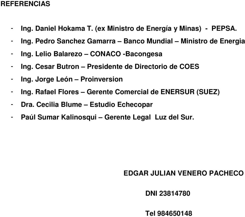 Jorge León Proinversion Ing. Rafael Flores Gerente Comercial de ENERSUR (SUEZ) Dra.