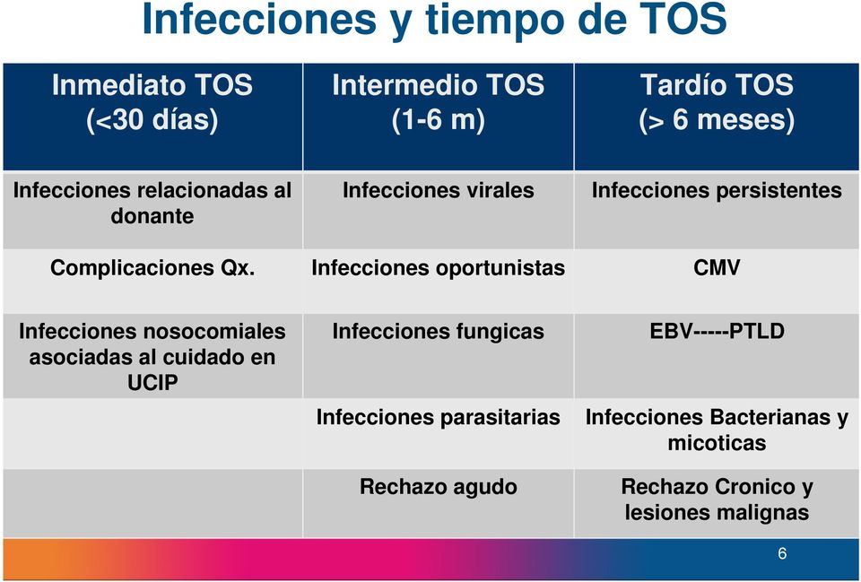 Infecciones oportunistas CMV Infecciones nosocomiales asociadas al cuidado en UCIP Infecciones fungicas