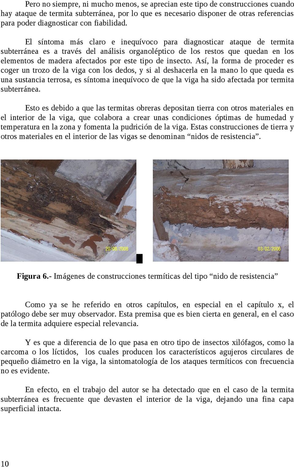 El síntoma más claro e inequívoco para diagnosticar ataque de termita subterránea es a través del análisis organoléptico de los restos que quedan en los elementos de madera afectados por este tipo de