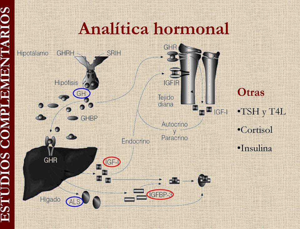 Analítica hormonal