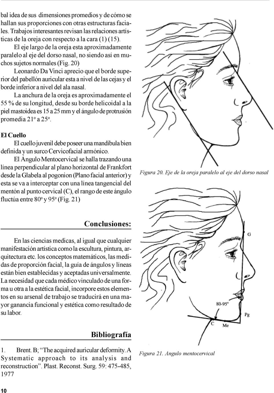 El eje largo de la oreja esta aproximadamente paralelo al eje del dorso nasal, no siendo así en muchos sujetos normales (Fig.