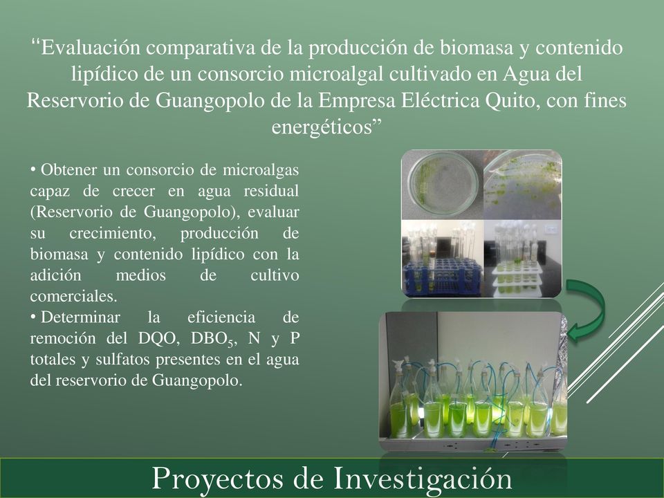 agua residual (Reservorio de Guangopolo), evaluar su crecimiento, producción de biomasa y contenido lipídico con la adición medios de
