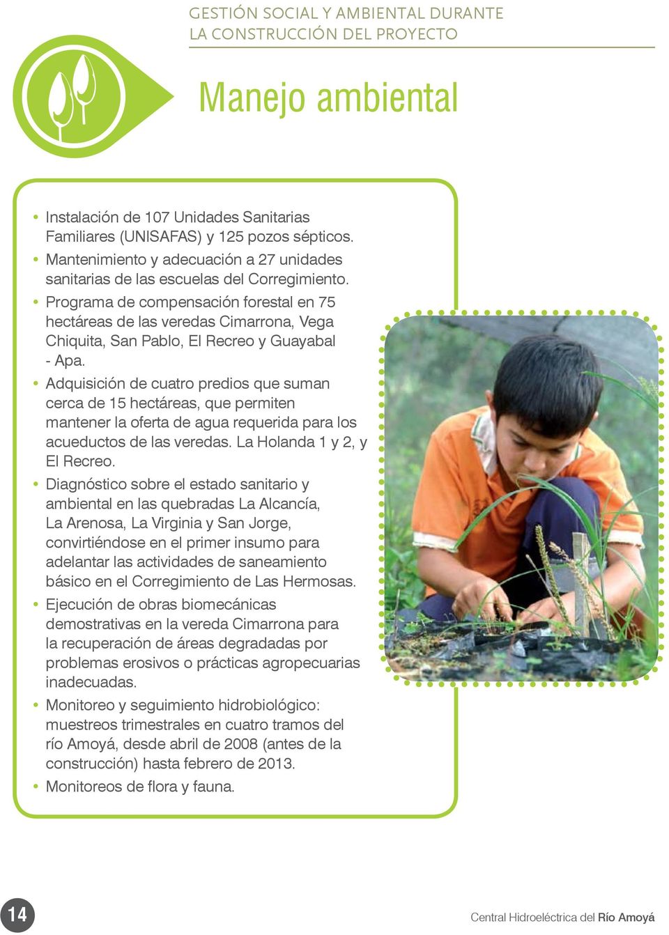 Programa de compensación forestal en 75 hectáreas de las veredas Cimarrona, Vega Chiquita, San Pablo, El Recreo y Guayabal - Apa.