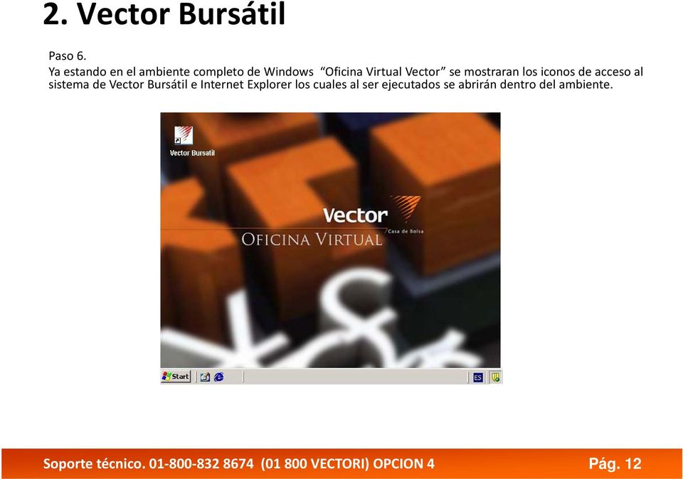 mostraran los iconos de acceso al sistema de Vector Bursátil e Internet