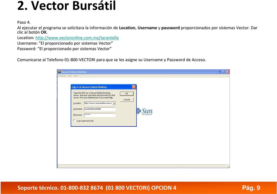 Vector. Dar clic al botón OK. Location: http://www.vectoronline.com.