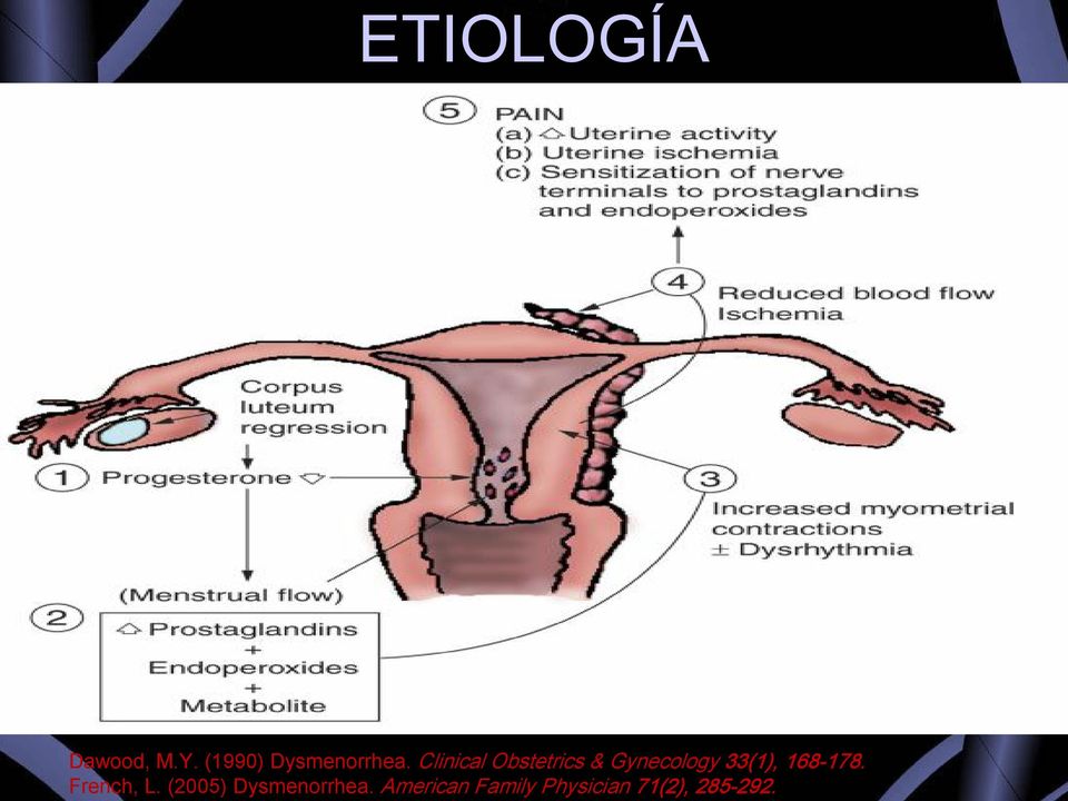 Clinical Obstetrics & Gynecology 33(1),