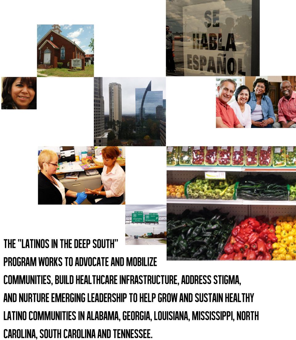 emerging leadership to help grow and sustain healthy Latino communities in