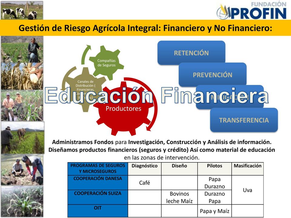 Diseñamos productos financieros (seguros y crédito) Así como material de educación en las zonas de intervención.