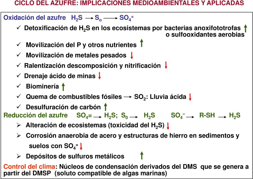 2 : Lluvia ácida Desulfuración de carbón Reducción del azufre SO 4 = H 2 S; S 0 H = 2 S SO 4 R-SH H 2 S Alteración de ecosistemas (toxicidad del H 2 S) Corrosión anaerobia de acero y estructuras