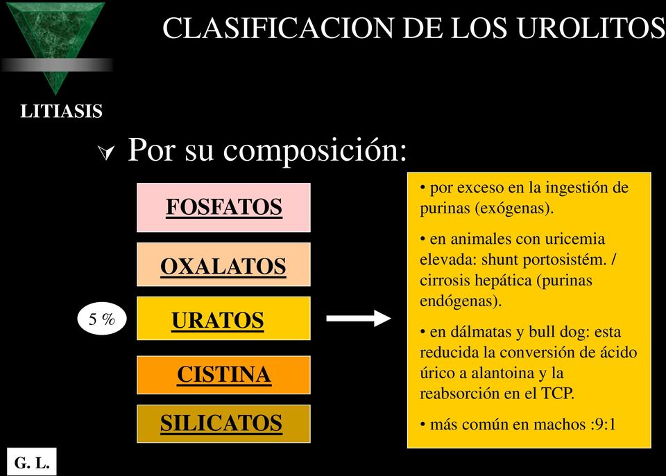 en animales con uricemia elevada: shunt portosistém. / cirrosis hepática (purinas endógenas).