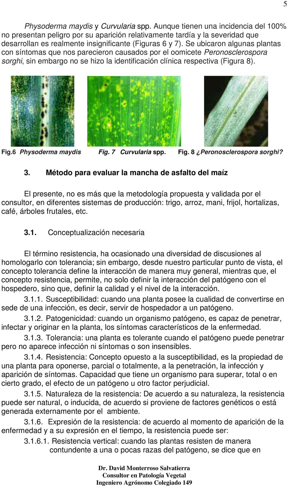Se ubicaron algunas plantas con síntomas que nos parecieron causados por el oomicete Peronosclerospora sorghi, sin embargo no se hizo la identificación clínica respectiva (Figura 8). Fig.