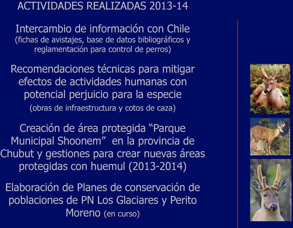 de infraestructura y cotos de caza) Creación de área protegida Parque Municipal Shoonem en la provincia de Chubut y gestiones para crear