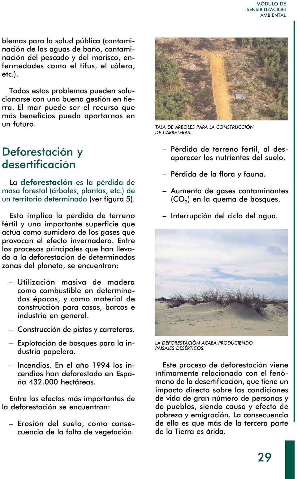 Deforestación y desertificación La deforestación es la pérdida de masa forestal (árboles, plantas, etc.) de un territorio determinado (ver figura 5).