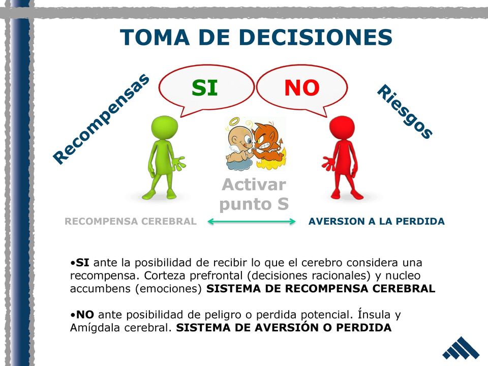 Corteza prefrontal (decisiones racionales) y nucleo accumbens (emociones) SISTEMA DE