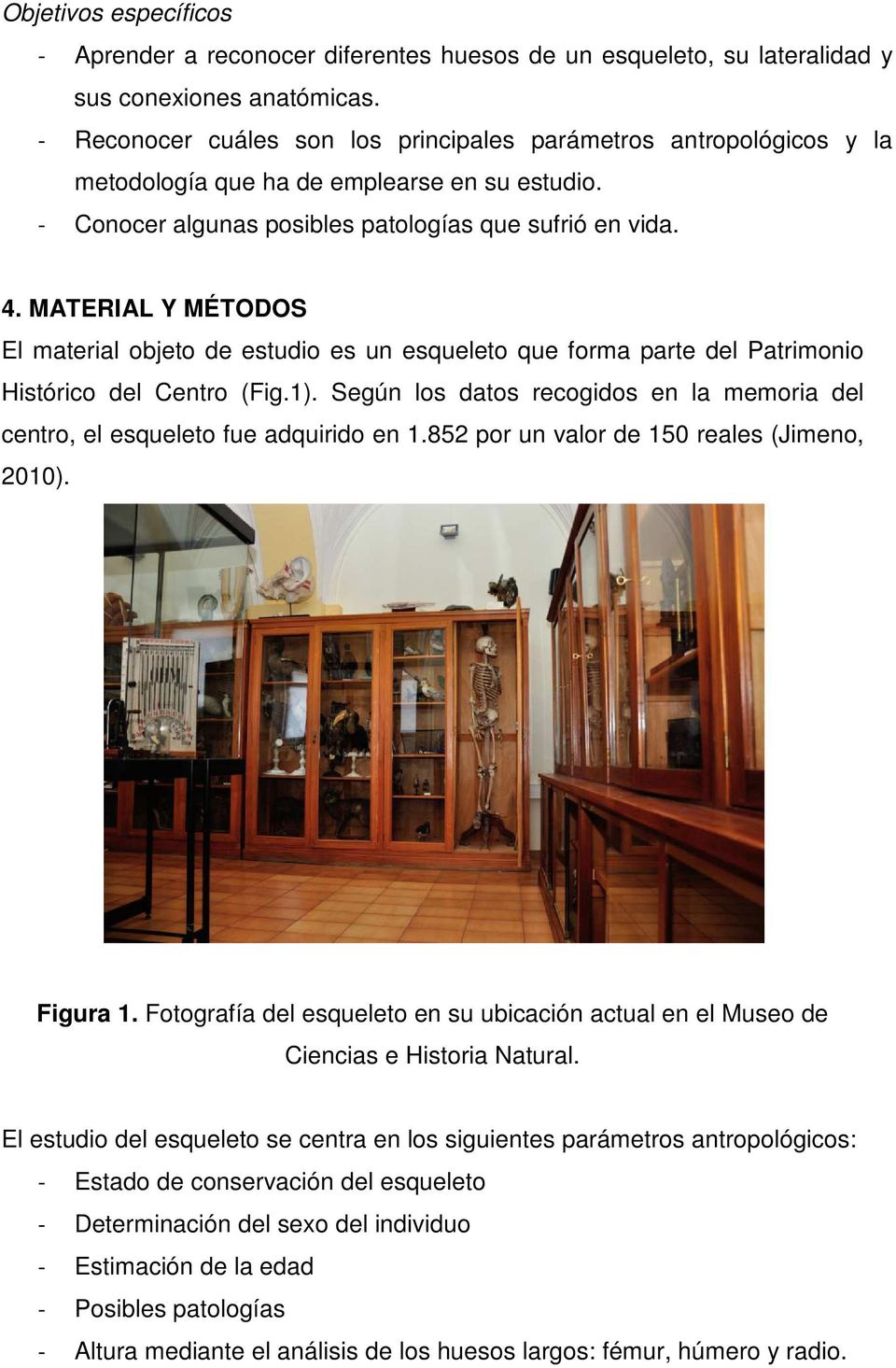 MATERIAL Y MÉTODOS El material objeto de estudio es un esqueleto que forma parte del Patrimonio Histórico del Centro (Fig.1).