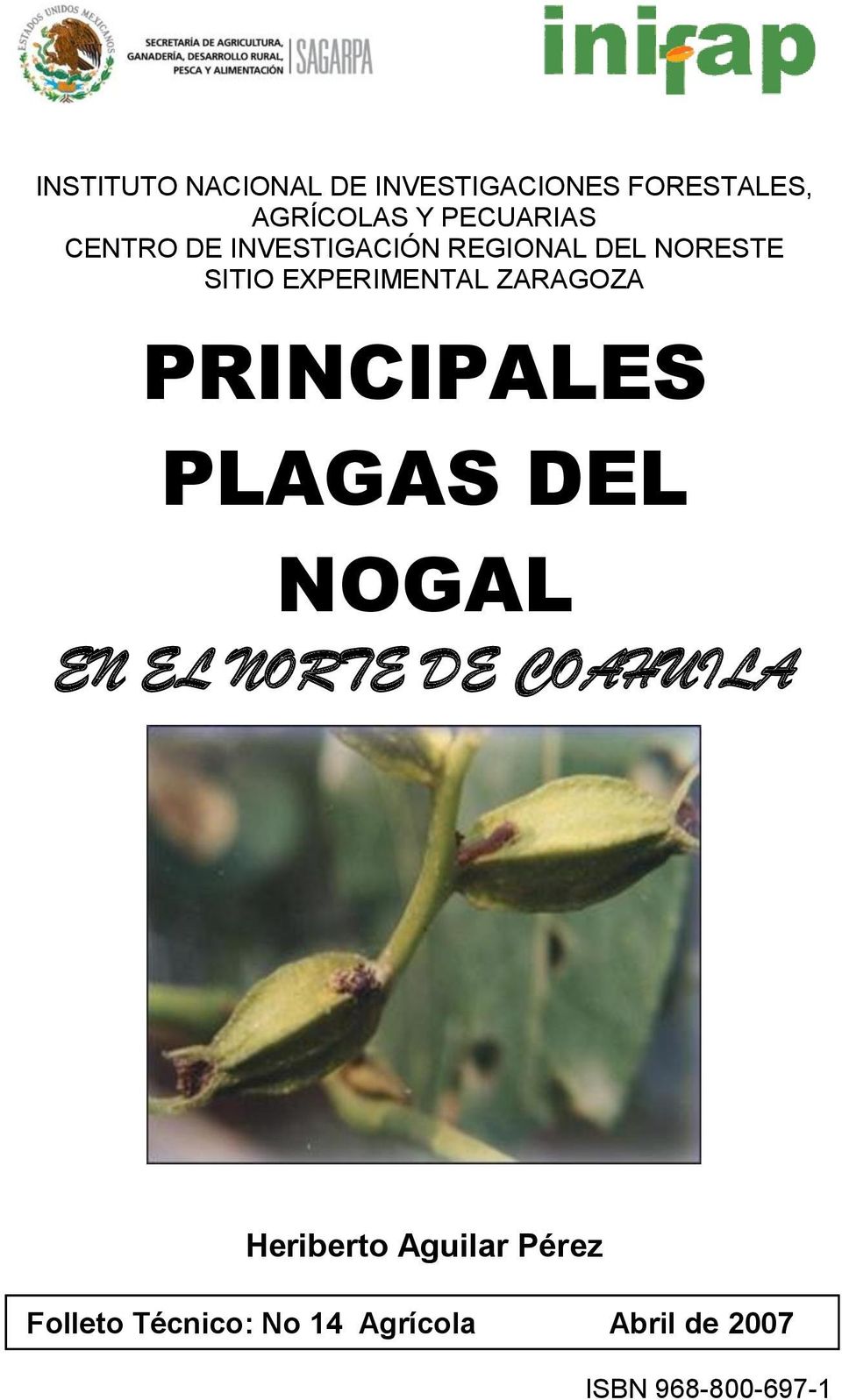 ZARAGOZA PRINCIPALES PLAGAS DEL NOGAL EN EL NORTE DE COAHUILA Heriberto