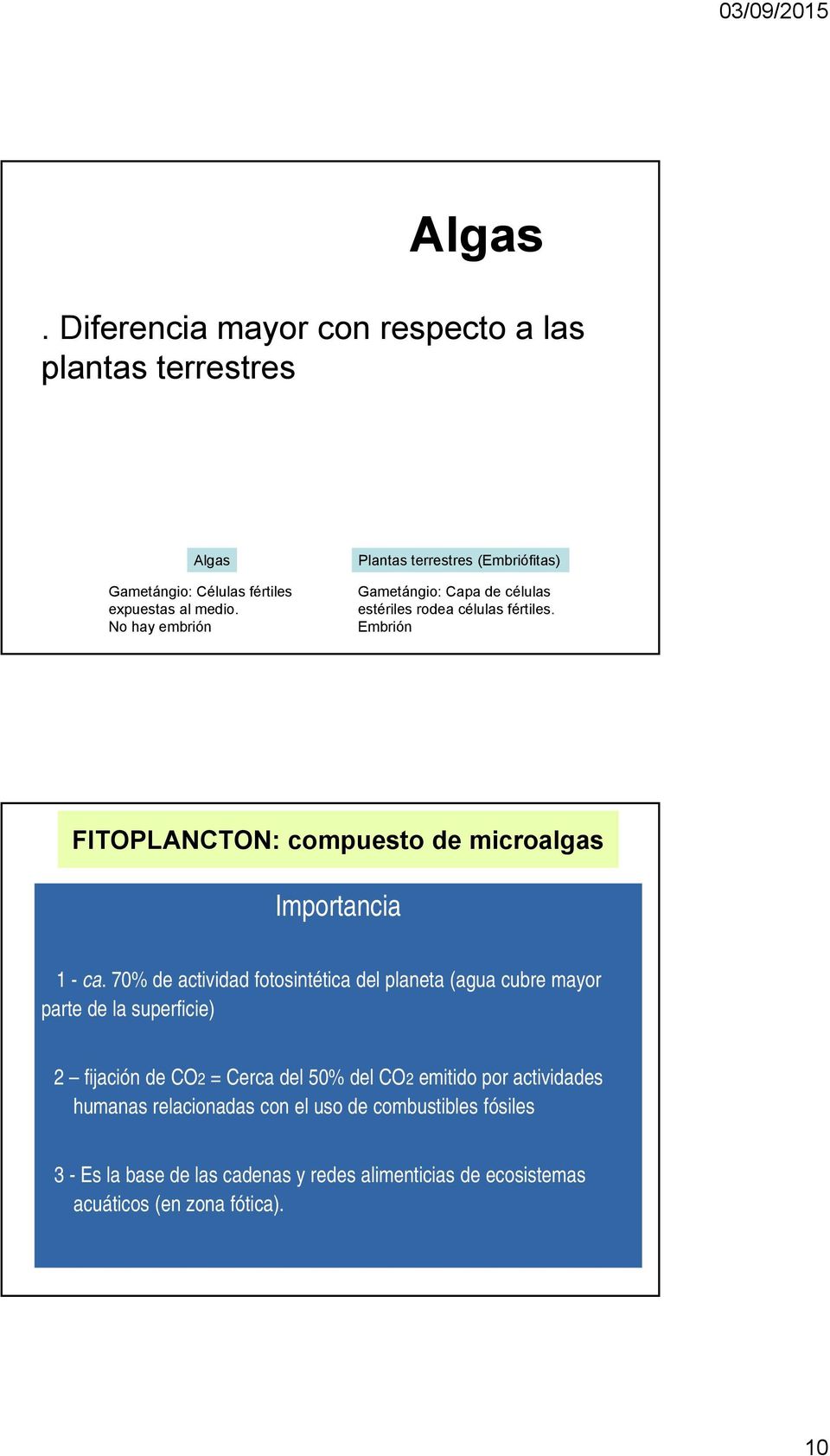 Embrión FITOPLANCTON: compuesto de microalgas Importancia 1 - ca.
