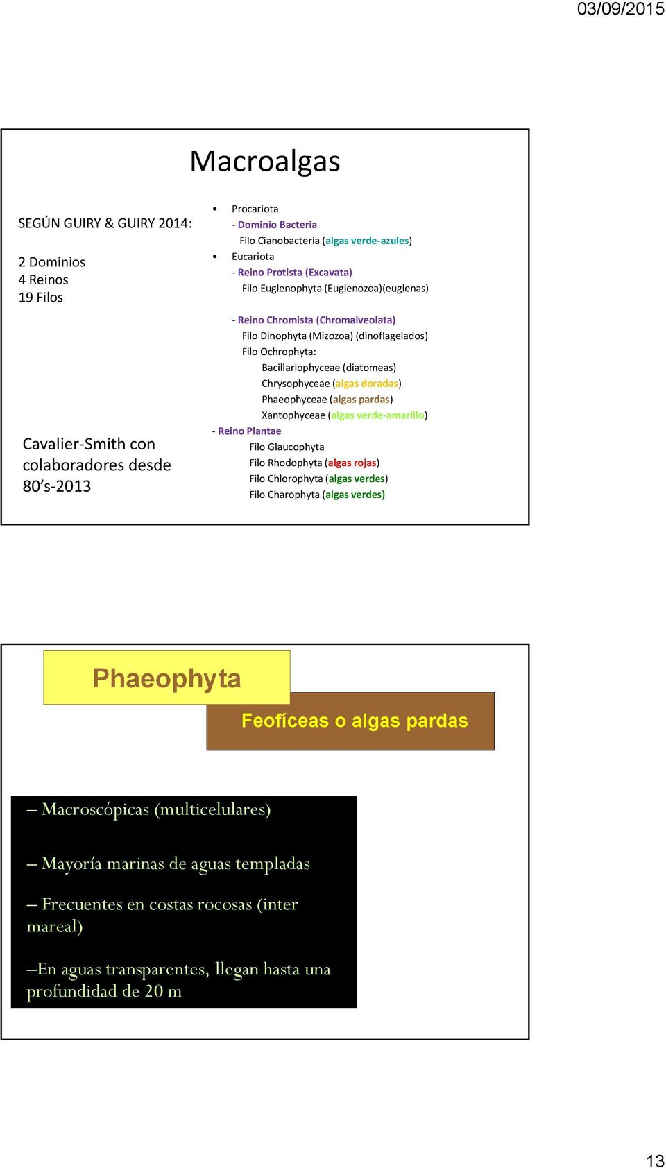 (algas doradas) Phaeophyceae (algas pardas) Xantophyceae (algas verde amarillo) Reino Plantae Filo Glaucophyta Filo Rhodophyta (algas rojas) Filo Chlorophyta (algas verdes) Filo Charophyta (algas