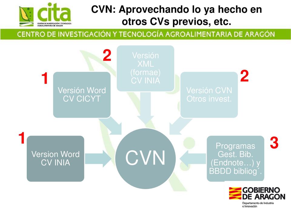 CV INIA Versión CVN Otros invest.
