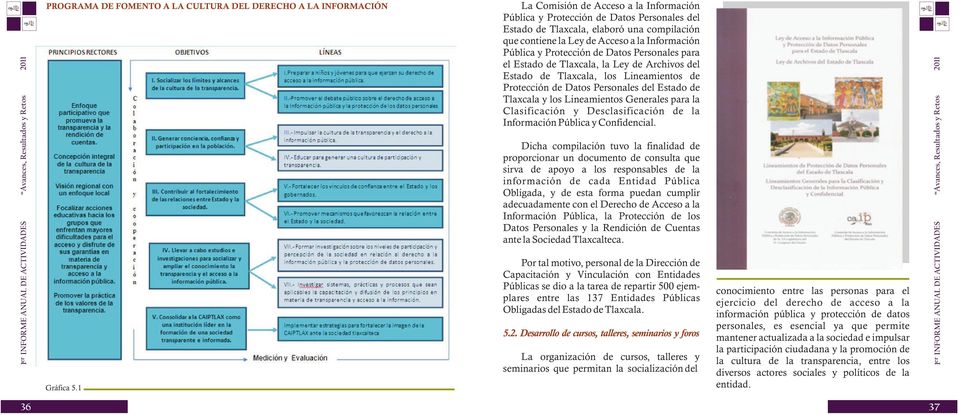Personales del Estado de Tlaxcala y los Lineamientos Generales para la Clasificación y Desclasificación de la Información Pública y Confidencial. Gráfica 5.