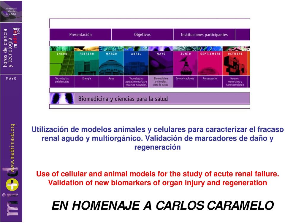 Validación de marcadores de daño y regeneración Use of cellular and animal